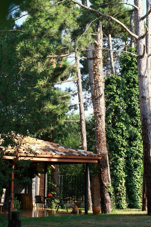 Hotel Უცხო-Utskho Telavi Exterior photo